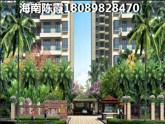 海南白金海岸房价为什么那么高？