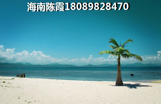 整健反应是什么意思