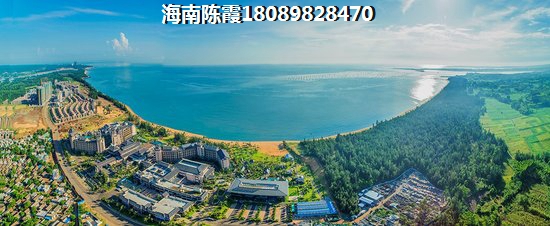 什么是垂直抖音号