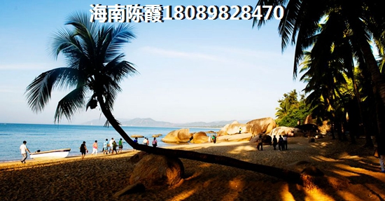 珊瑚海项目楼盘周边的配套！