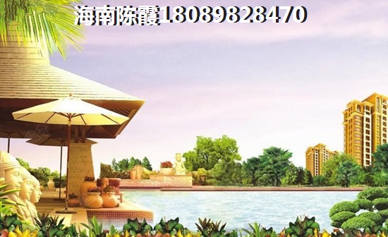 作者软件起名怎么起的好