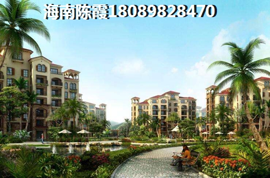 产妇炖鸽子汤怎么炖好吃又营养