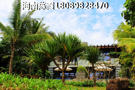 旅行鸽阅读答案大全