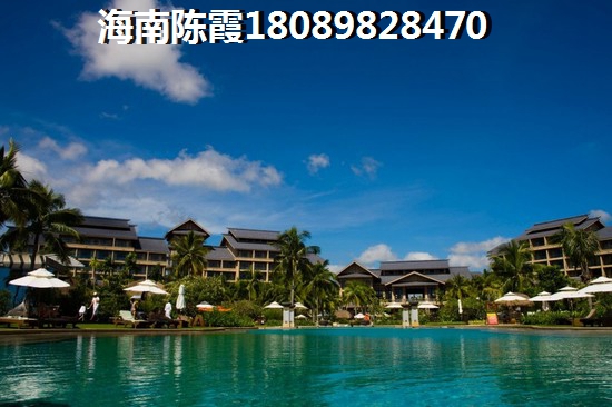 蒙塔古特是什么