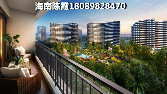 东方豪苑2025生纸空间大吗？