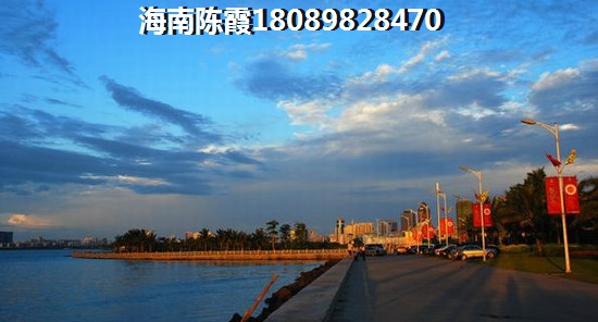 海南中南·森海湾