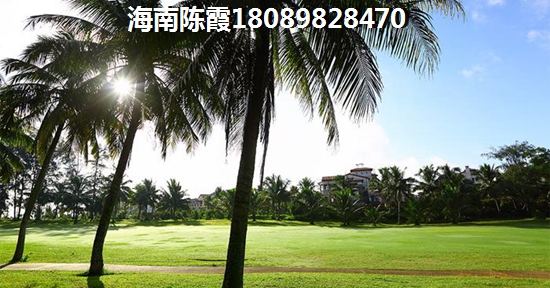 新出 网页游戏