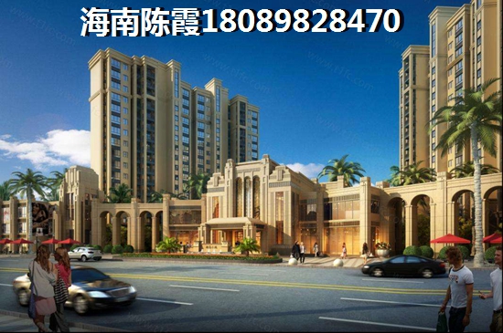 荷兰旅游攻略500字 荷兰旅游攻略500字